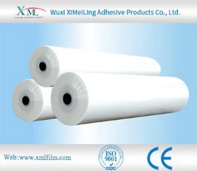 Kaitsev põrandakatted, vaibad